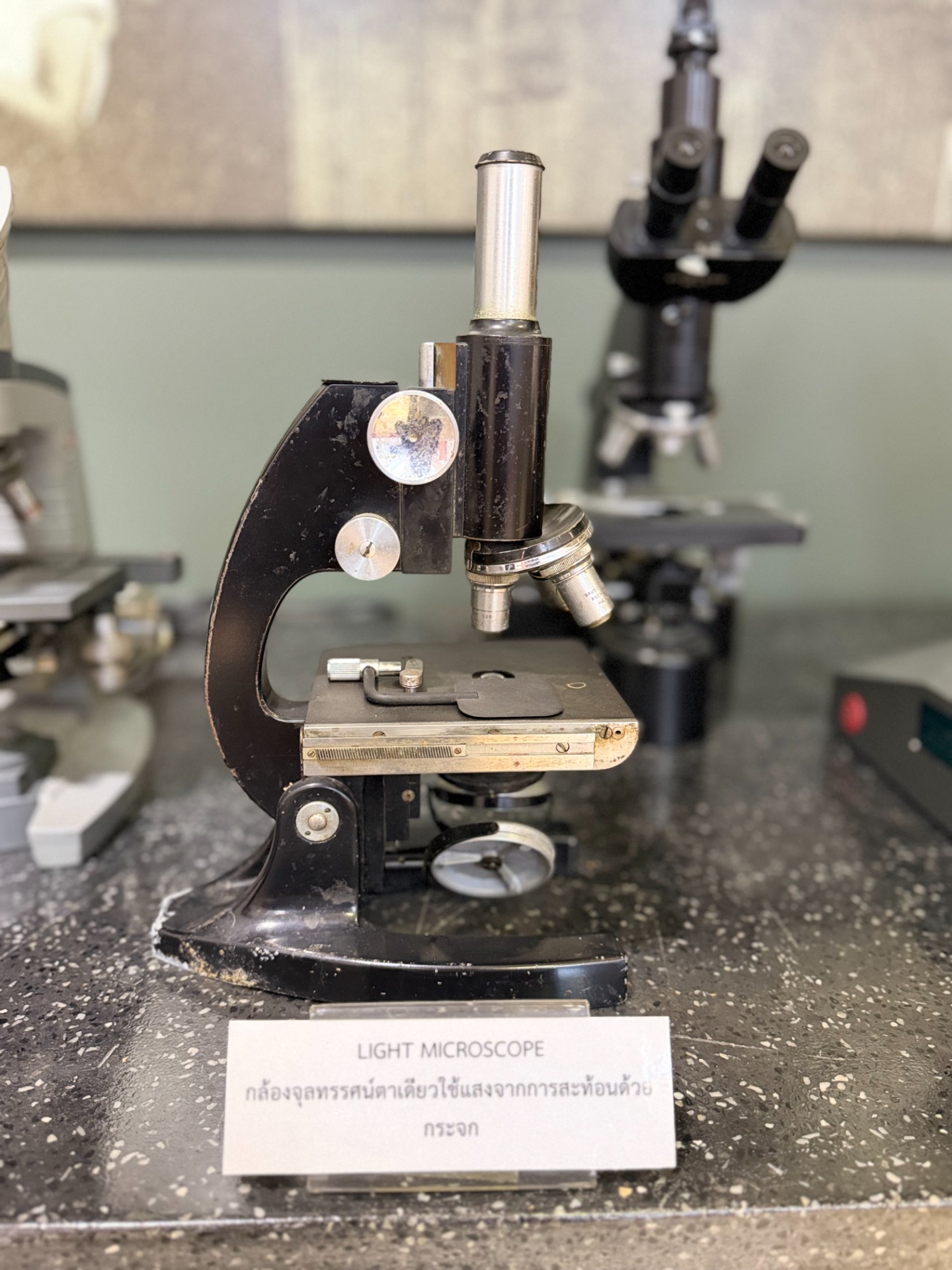 Light Microscope
